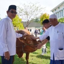 Wakil Bupati Balangan Serahkan Sapi Bantuan Dari Presiden RI